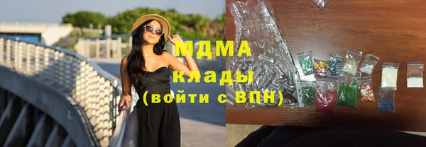 сатива Каменка