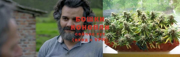 гашик Аркадак
