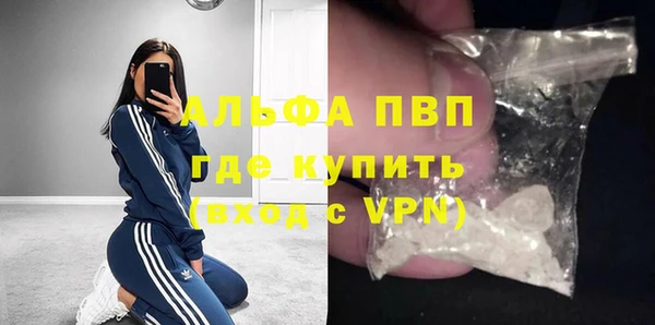 стаф Арсеньев