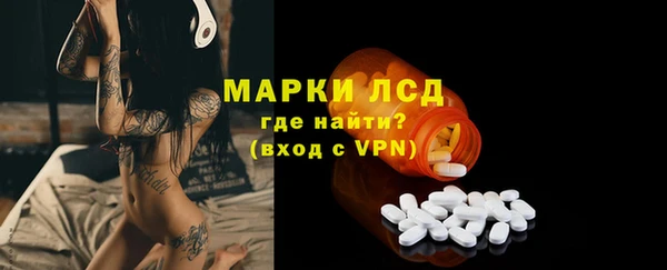 стаф Арсеньев