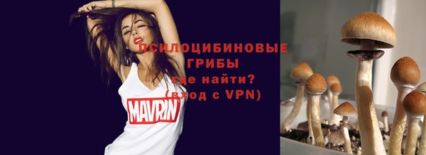 гашик Аркадак