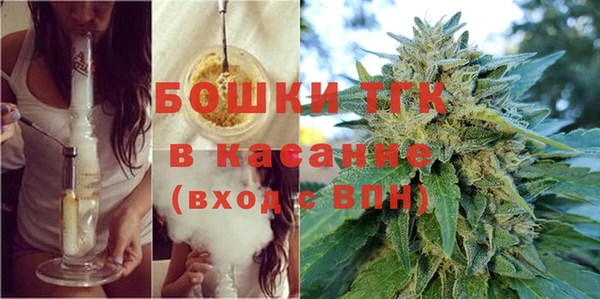 стаф Арсеньев