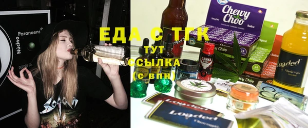 стаф Арсеньев