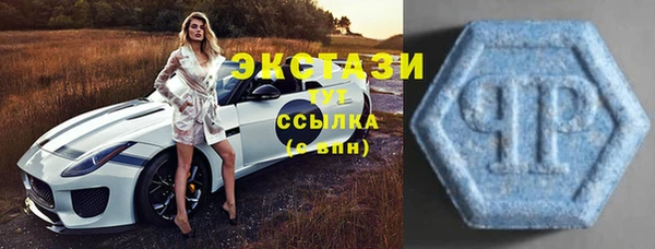 стаф Арсеньев